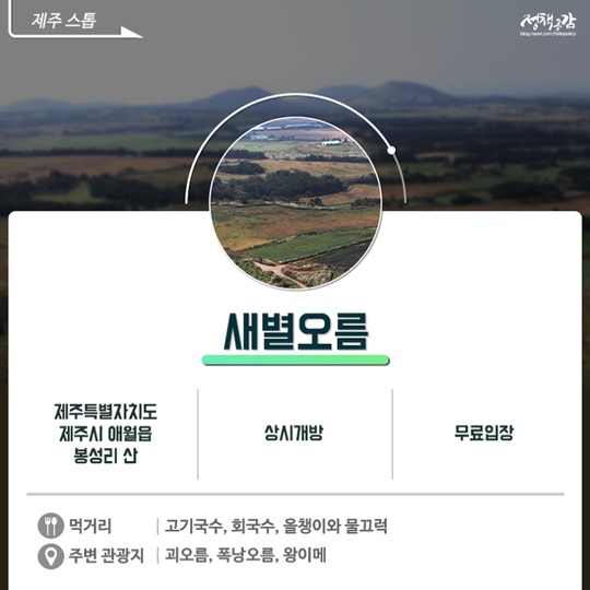 정월대보름에 놓치면 안 될 달맞이 명소 7곳