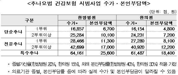 추나요법 건강보험 시범사업 수가·본인부담액