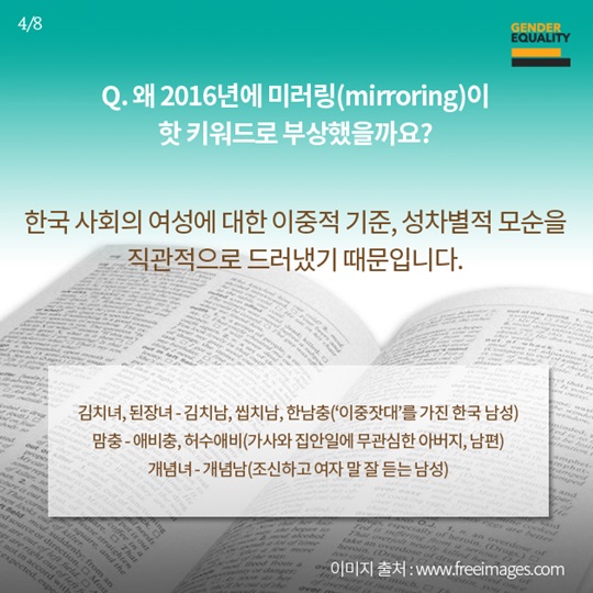 미러링의 가능성