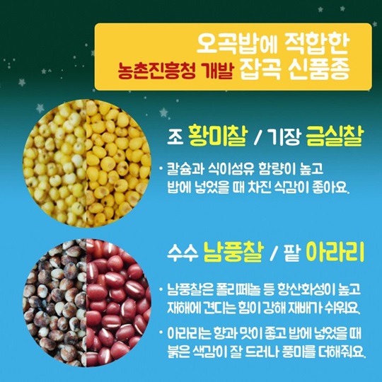 정월대보름에 먹는 건강식품 