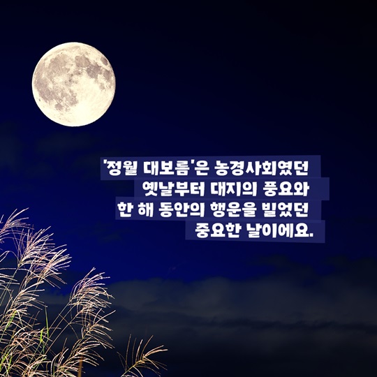 정월대보름에 