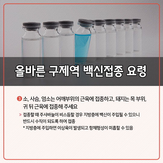 구제역 차단방역