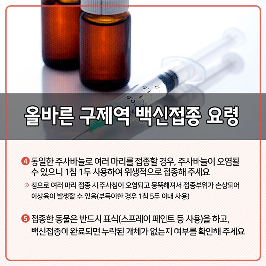 구제역 차단방역