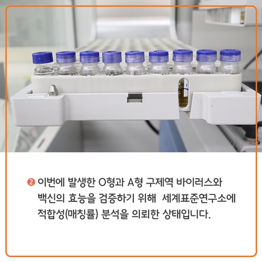 구제역 백신접종, 이렇게 이뤄지고 있습니다.
