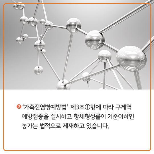구제역 백신접종, 이렇게 이뤄지고 있습니다.