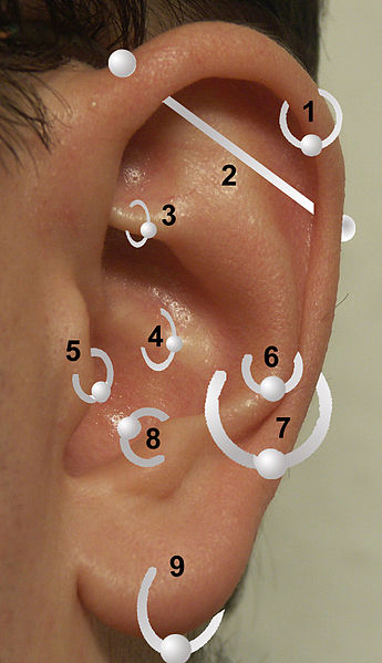 귀걸이는 보통 9개의 부위에 이뤄질 수 있다. 귀걸이 부위는 착용자의 의도와 개성, 정체성 등을 암시하기도 한다. <사진=피터 니마이어>