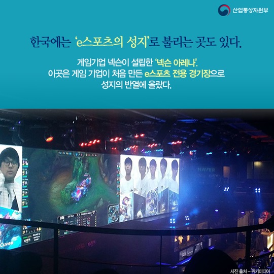 다분화된 소비 시장을 주도하는 성지의 세계