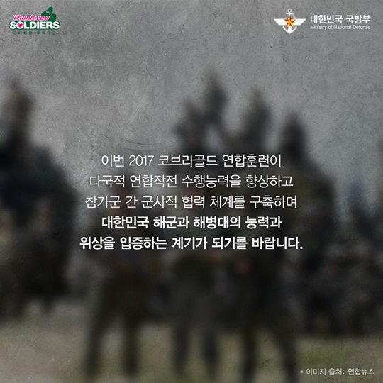 2017 코브라골드 연합훈련