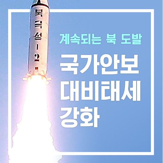 국가 안보 대비태세 강화 