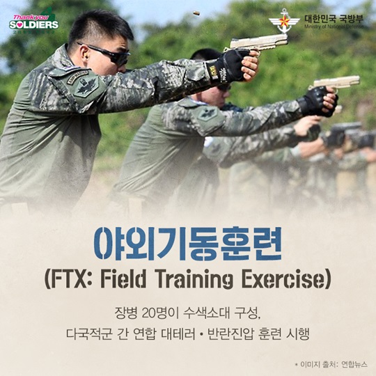 2017 코브라골드 연합훈련