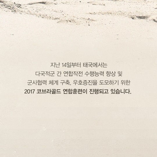2017 코브라골드 연합훈련