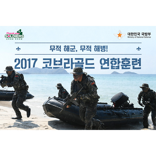 2017 코브라골드 연합훈련