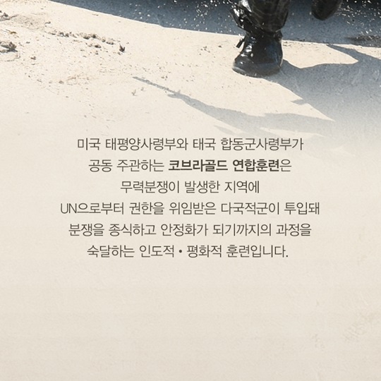 2017 코브라골드 연합훈련