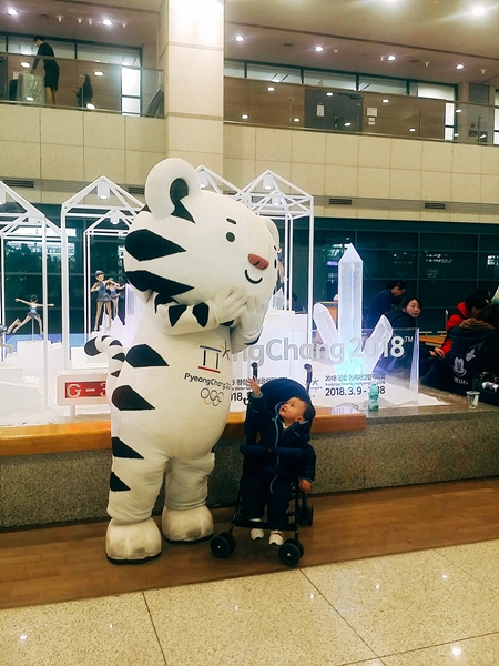 문화체육관광부와 평창동계올림픽 조직위는 평청동계올림픽의 마스코트