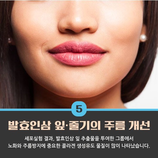 최고의 명약 인삼