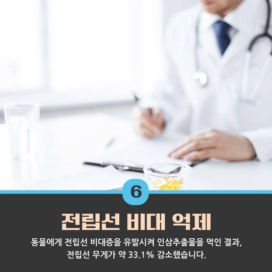 최고의 명약 인삼