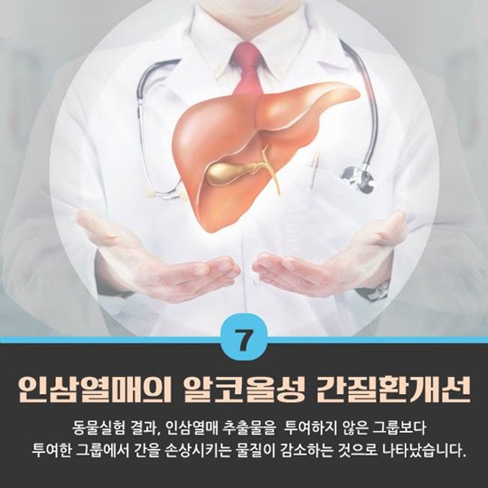 최고의 명약 인삼