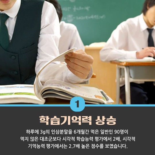 최고의 명약 인삼