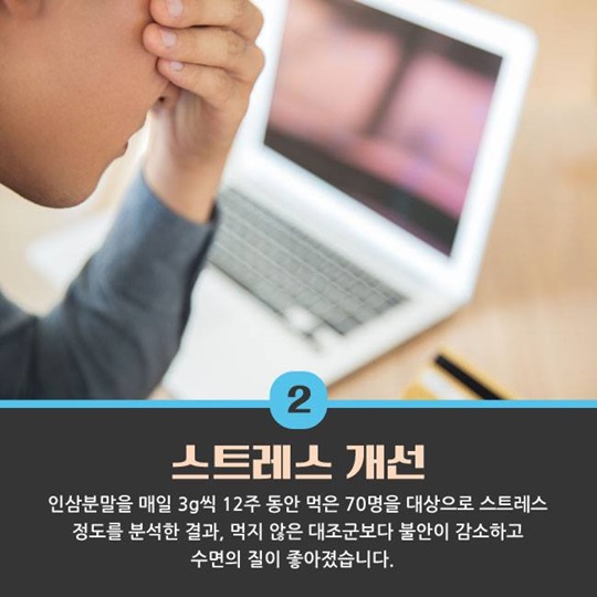 최고의 명약 인삼