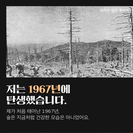 저의 50번째 생일잔치에 와주실래요?