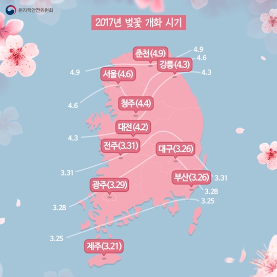 봄 꽃 개화시기는