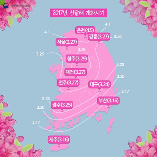 봄 꽃 개화시기는