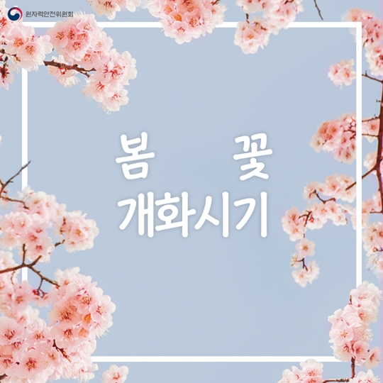 봄 꽃 개화시기는