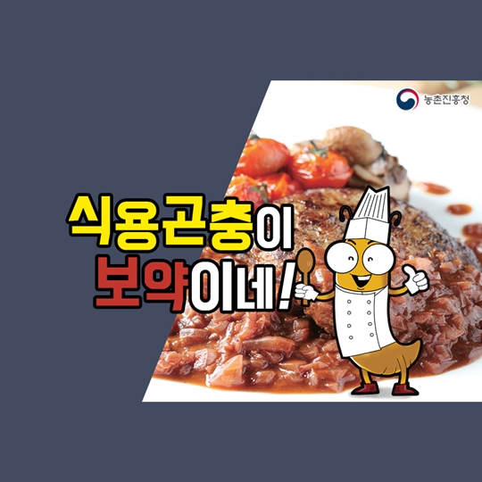 식용곤충이 보약이네