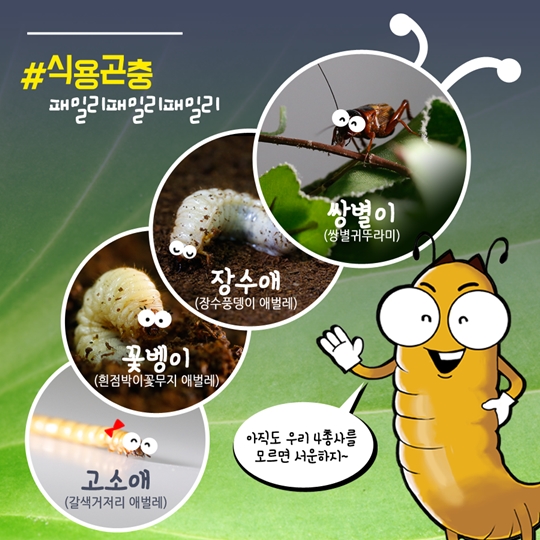 식용곤충이 보약이네