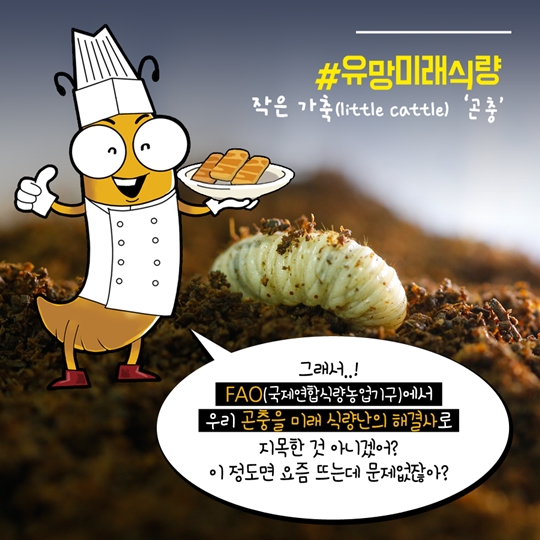 식용곤충이 보약이네