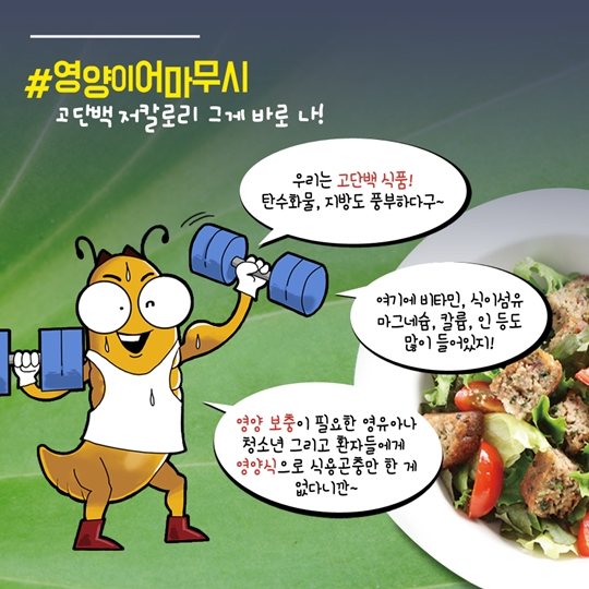 식용곤충이 보약이네
