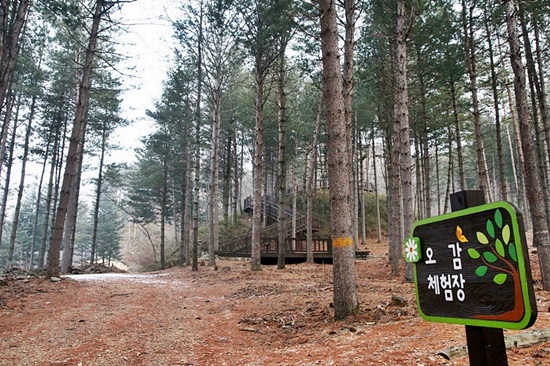 백두대간 산림생태문화체험단지