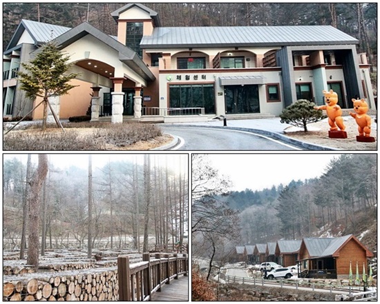 삼림생태문화체험단지의 숙박시설과 미로체험장