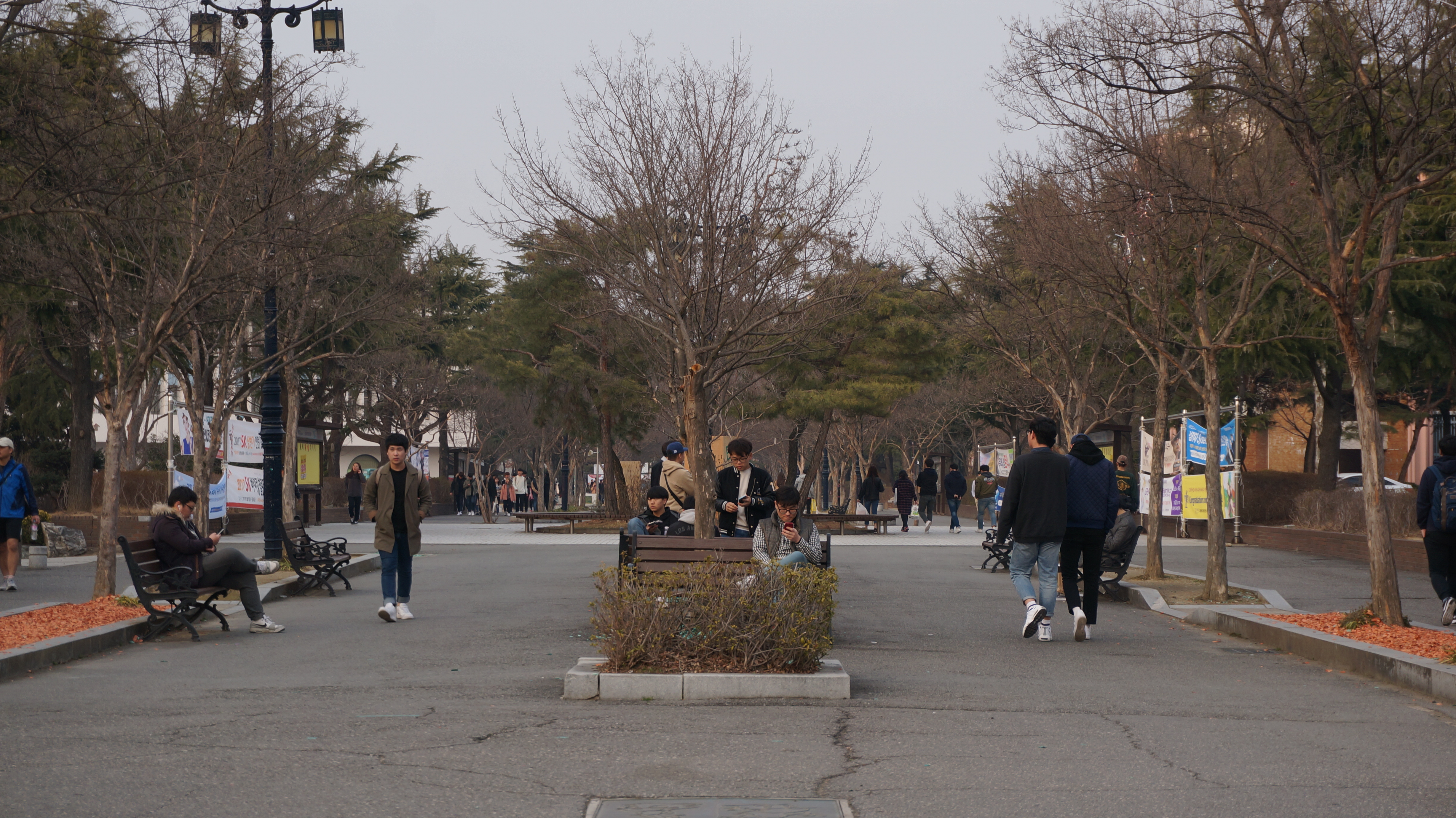 대학교 정문에서 학생들에게 직접 물어보았다.