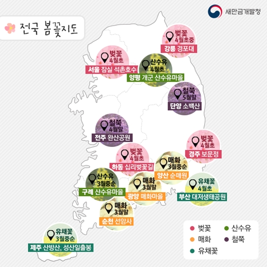 봄꽃여행지