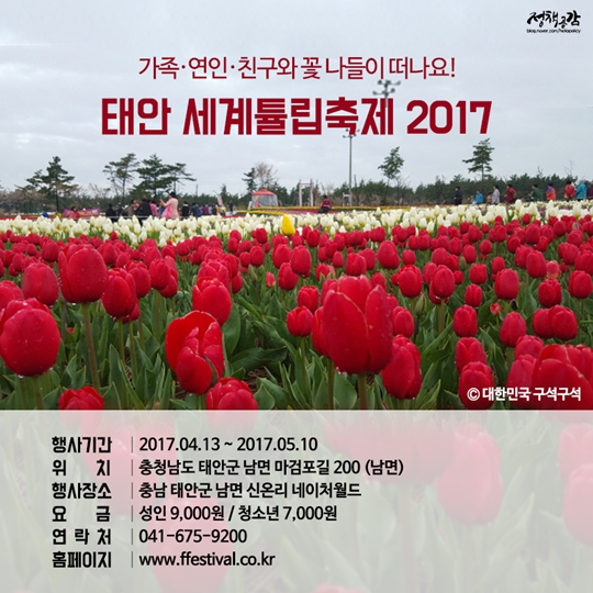 2017년 봄꽃 개화시기는