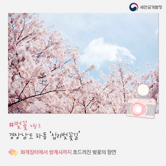 봄꽃여행지