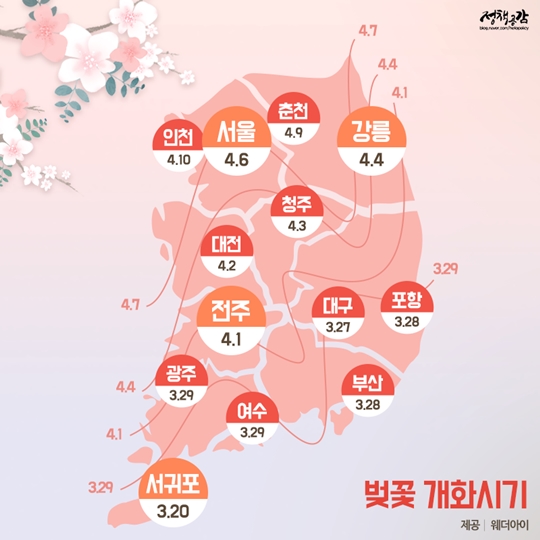 2017년 봄꽃 개화시기는