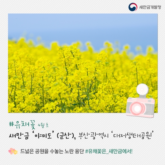 봄꽃여행지