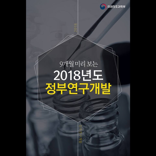 9개월 미리 보는 2018년도 정부연구개발