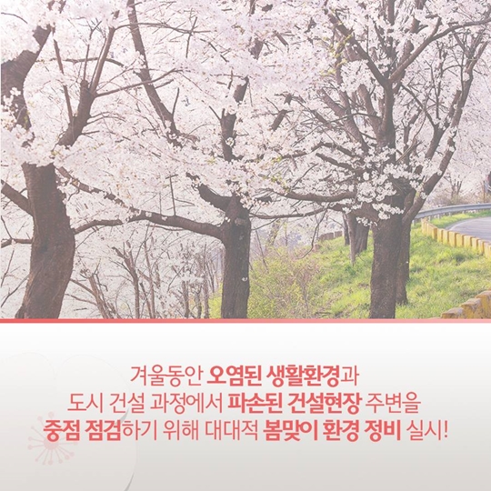 행복도시 봄맞이 환경 정비