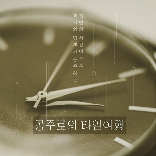 아름다운 도시 공주