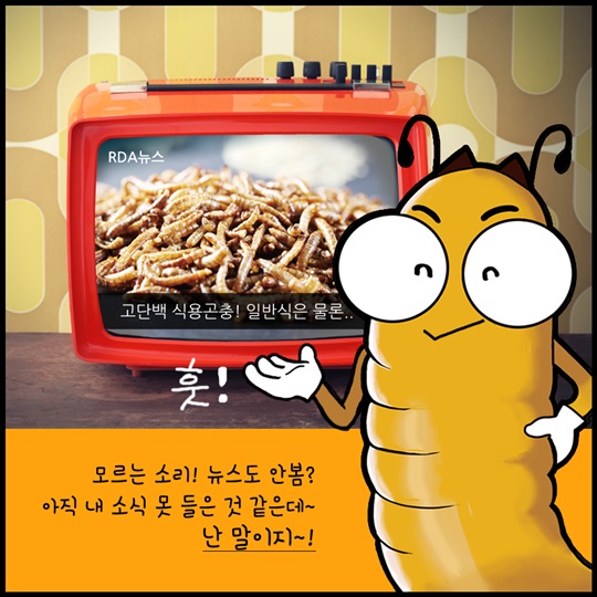 식용곤충의 맛있는 변신!
