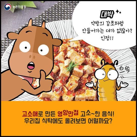 식용곤충의 맛있는 변신!