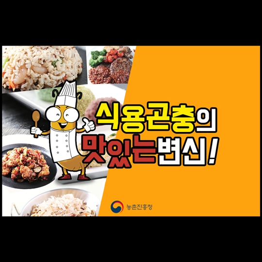 식용곤충의 맛있는 변신!
