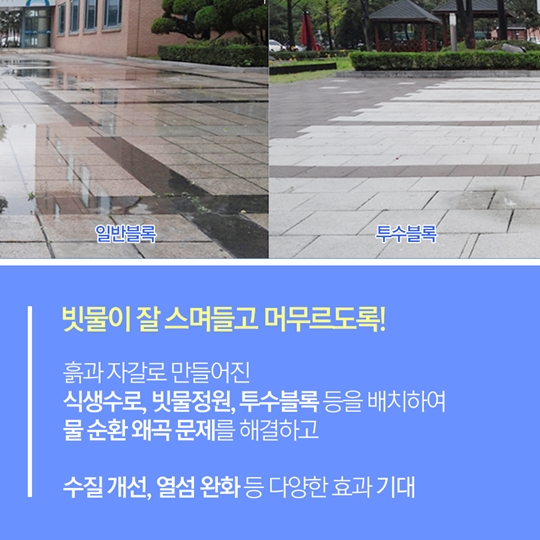 물순환으로 만드는 친환경 생태도시
