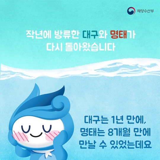 해시태그말고 물고기태그!