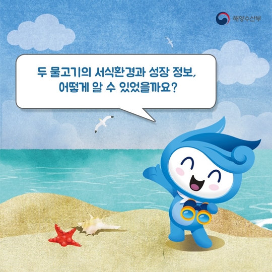 해시태그말고 물고기태그!