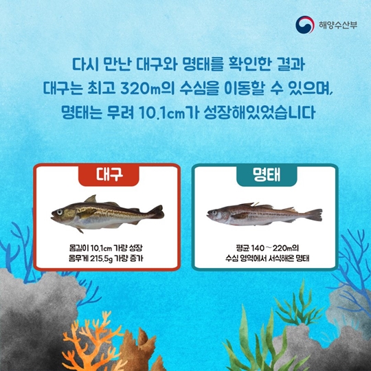 해시태그말고 물고기태그!