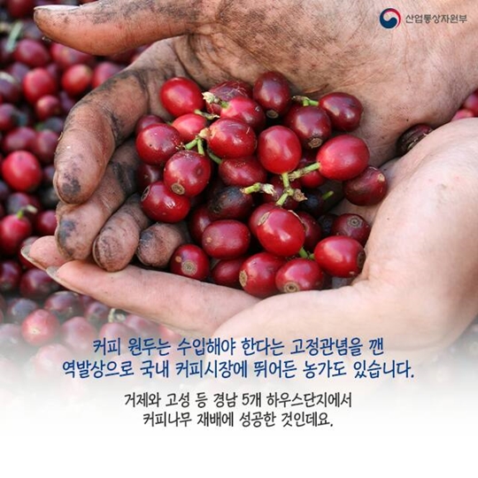 더우면 옷을 입어라! 가치를 더한 역발상